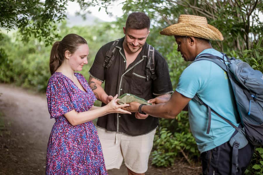 Mauritius: Exclusive Le Morne Sunset Hike & Aperitivo - Reaching the viewpoint above the lagoon