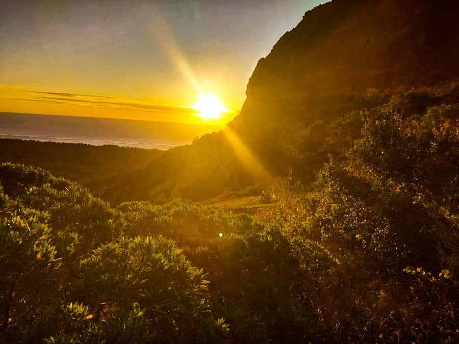 Mauritius: Exclusive Le Morne Sunset Hike & Aperitivo - Meeting at Local Spirit and starting the walk
