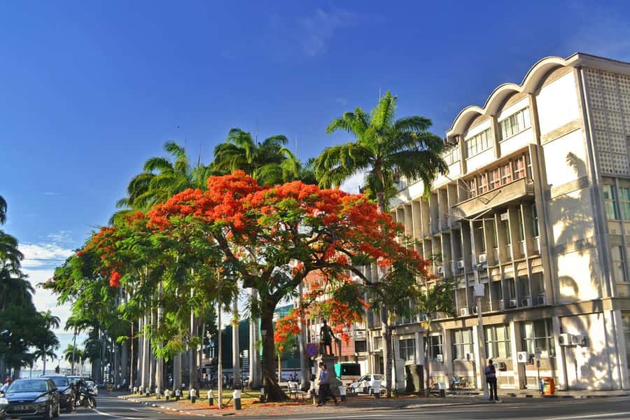 Mauritius: Exclusive North Tour with Pickup - Why this private north tour works