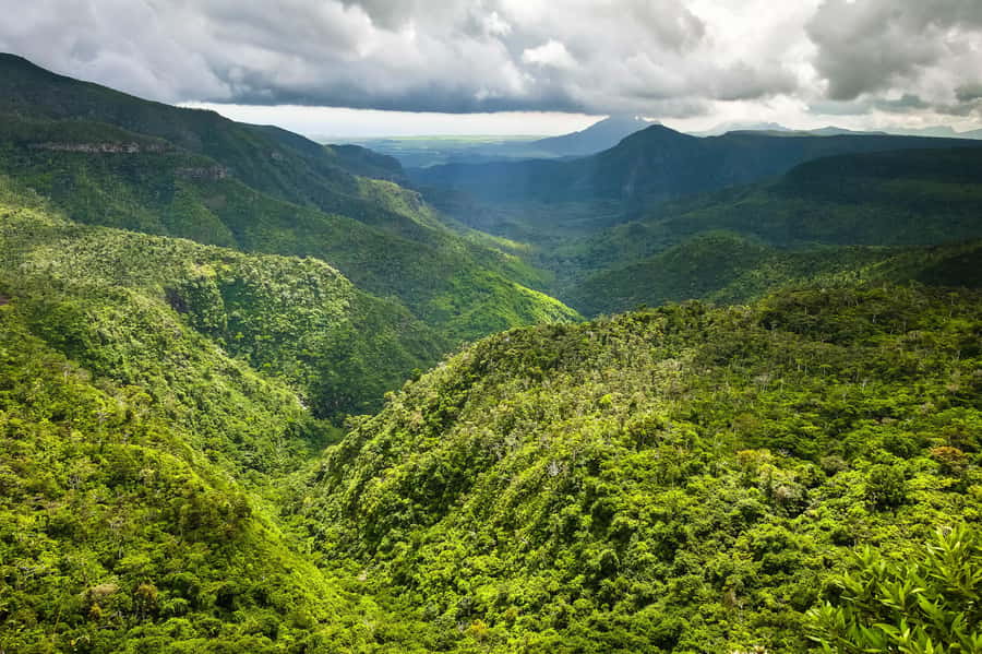 Mauritius: Exclusive South West Tour - Food, shopping, and rum tasting need a little planning