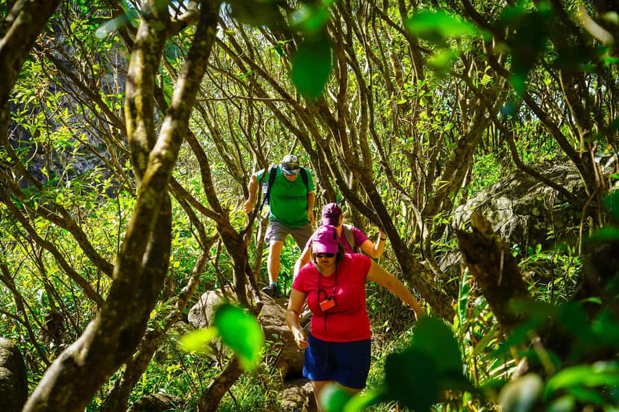 Mauritius: Exploring the Tamarind Falls with a Guide - Key points at a glance