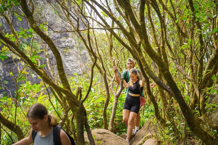 Mauritius: Exploring the Tamarind Falls with a Guide - Who should book this experience