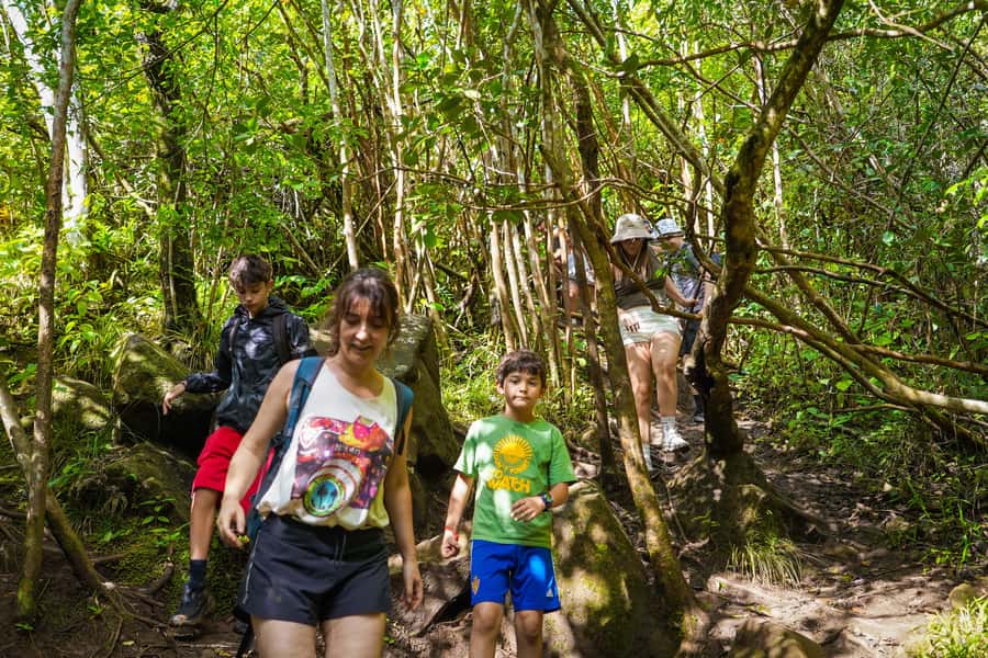 Mauritius: Exploring the Tamarind Falls with a Guide - Why a guide is worth the $55 price