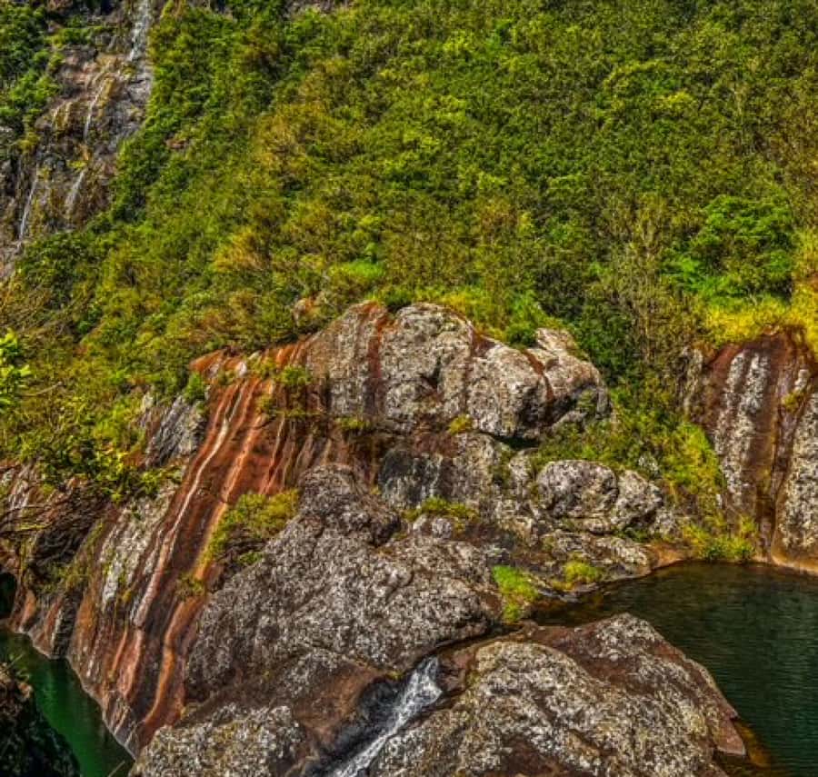 Mauritius: Full Canyon Tamarind Falls 5-Hour Hike - Key points at a glance