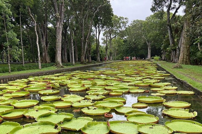 Mauritius full day : Private north tour - Key points to know before booking