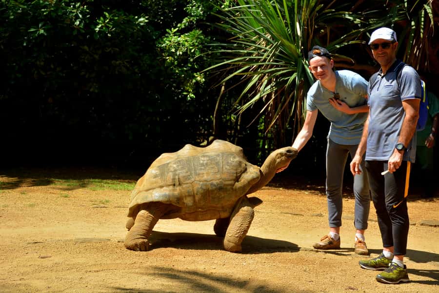 Mauritius: Full-Day Quad Bike Tour with Lunch - What the five-hour day looks like
