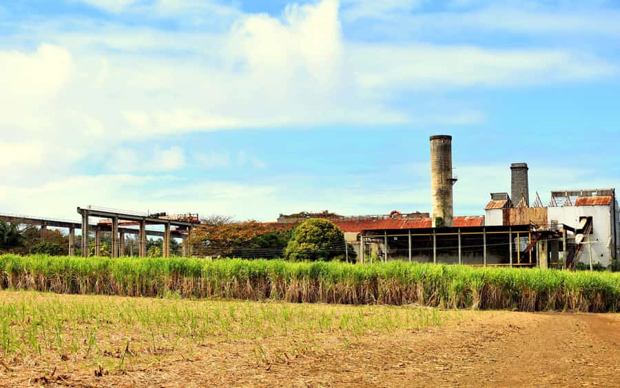 Mauritius: Full-Day Quad Bike Tour with Lunch - Rochester Falls and the chance to swim