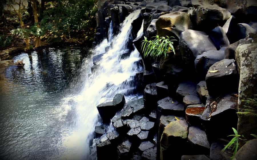 Mauritius: Full-Day Quad Bike Tour with Lunch - Dust, rain, and the condition of the quads