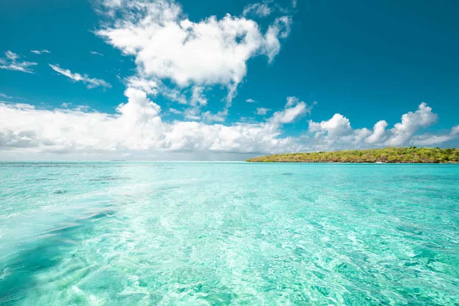 Mauritius: Full-Day Speedboat Tour to Ile aux Cerfs & BBQ - Snorkeling in the Grand Port lagoon