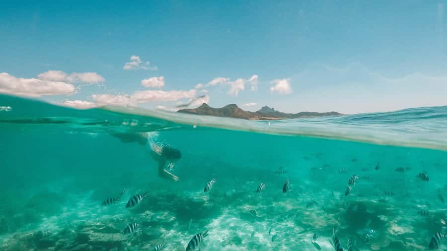 Mauritius: Full-Day Speedboat Tour to Ile aux Cerfs & BBQ - The guides and the feel onboard