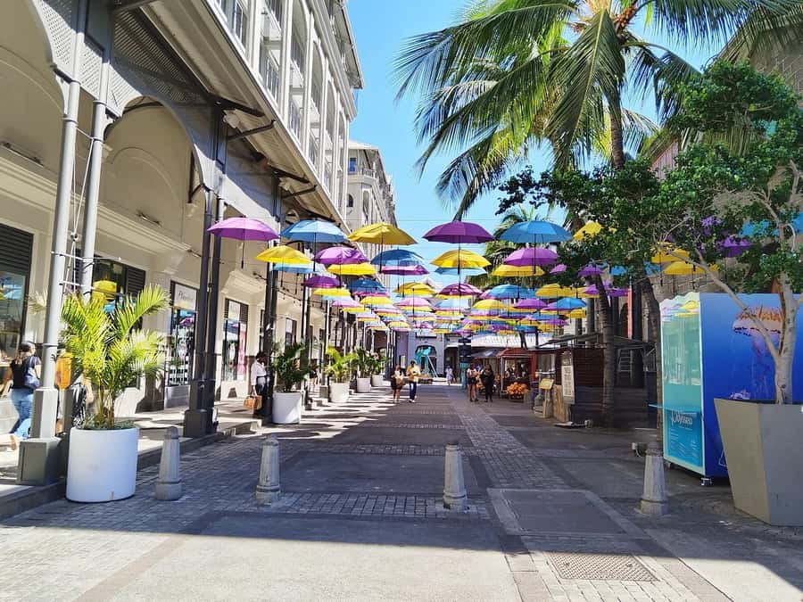Mauritius: Full Day Tour of the North with Hotel Transfer - A private day that covers the north efficiently
