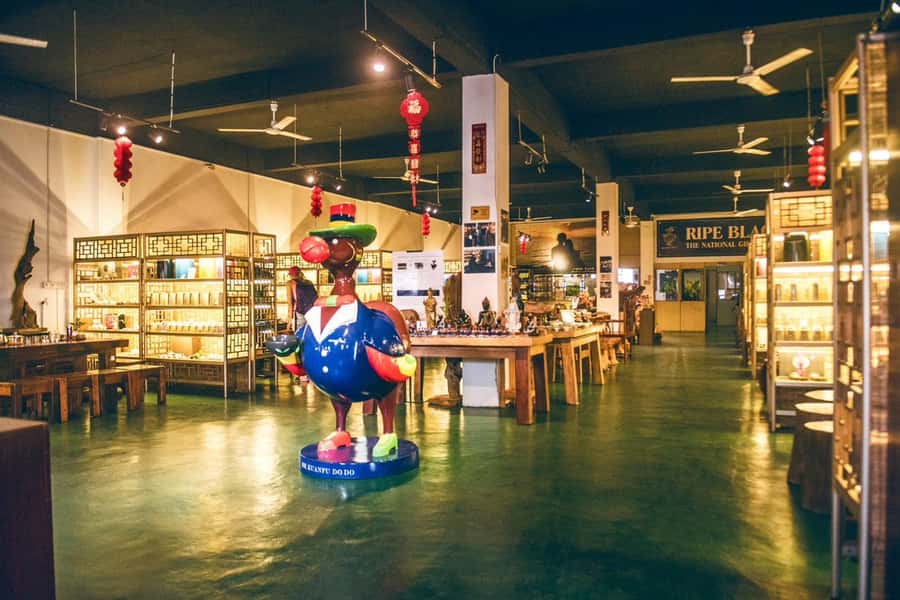 Mauritius: Full Day Tour of the North with Hotel Transfer - The black tea factory: useful context, with a commercial edge