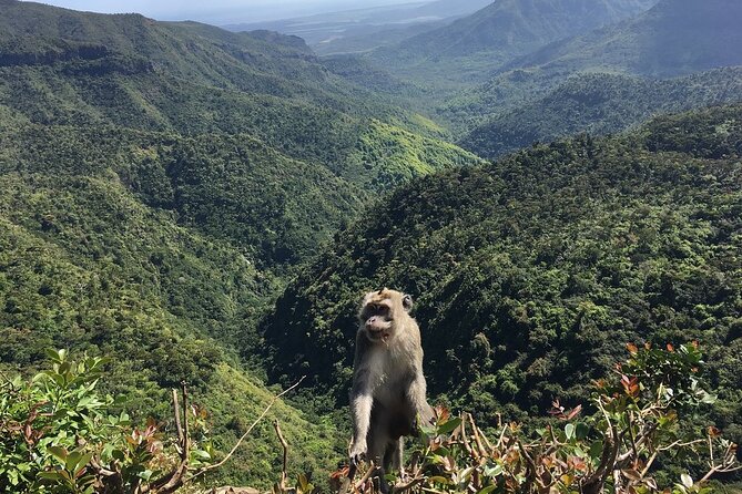 Mauritius full day tour : Private south west with lunch - Coffee, rum, and the local flavor of Chamarel