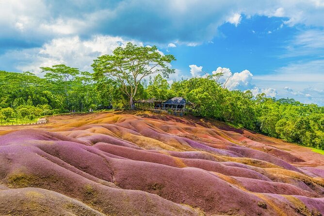 Mauritius full day tour : Private south west with lunch - Chamarel Waterfall and the southwest’s natural scenery