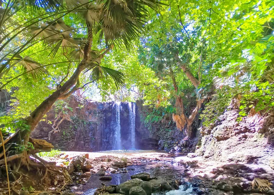 Mauritius: Gris Gris Beach & Mamzelle Waterfall Guided Tour - Walking above Mauritius’s southern coast