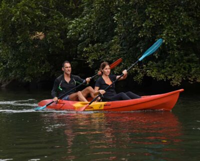 Guided Kayak Tour on Tamarin River