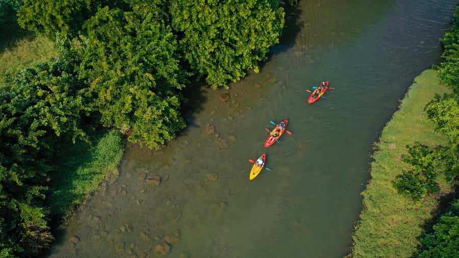 Mauritius: Guided Kayak Tour on Tamarin River - Practical Packing Advice for a Dry Finish