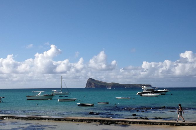 Mauritius Guided North Tour (Private) - 90 minutes among the palms at SSR Botanic Garden