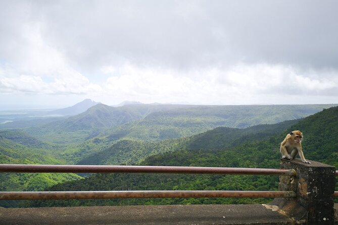 Mauritius Guided South Tour (Private) - Alexandra Falls supplies the most atmospheric stop