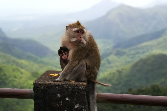 Mauritius Guided South tour (Private) - Trou aux Cerfs and the high plateau