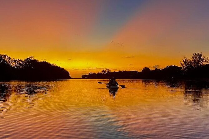 Mauritius: Guided Sunrise Kayak Tour on the Tamarin River - Looking for birds, monkeys, and flying foxes