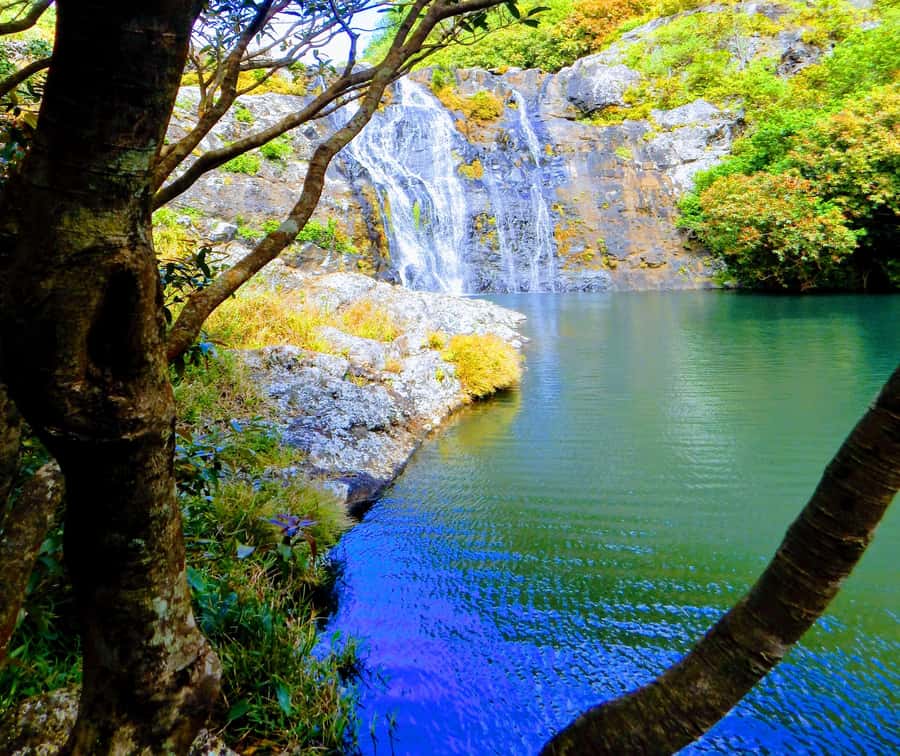 Mauritius: Guided Tamarind Falls Hike with Hotel Transfers - What the three-hour route feels like