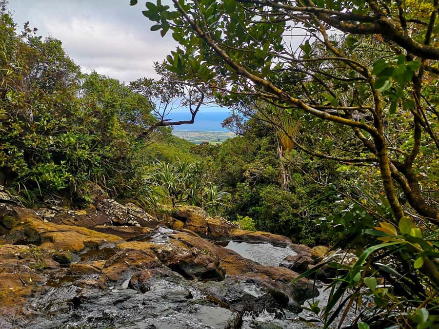 Mauritius: Guided Trip to the Southwest with Safari Tour - Lunch In Chamarel