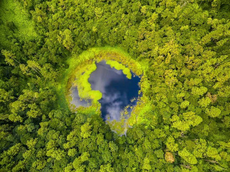Mauritius: Guided Trip to the Southwest with Safari Tour - Trou Aux Cerfs And The High Plateau