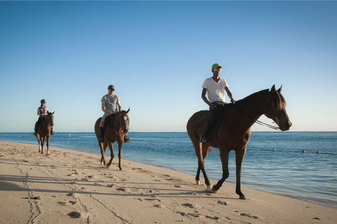 Mauritius Horse Riding at Riambel - Choosing Daylight or the Late Afternoon