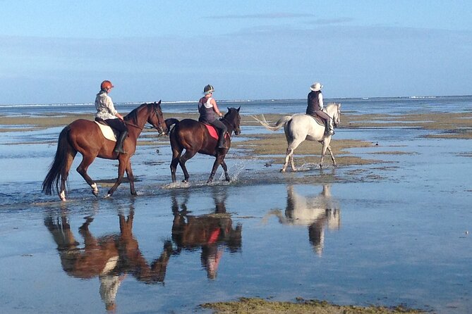Mauritius Horse Riding at Riambel - Practical Details That Matter