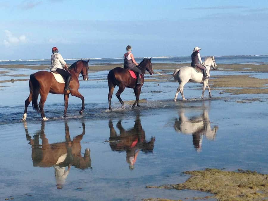Mauritius: Horse riding on the deserted beach of Riambel - What makes this Riambel ride special