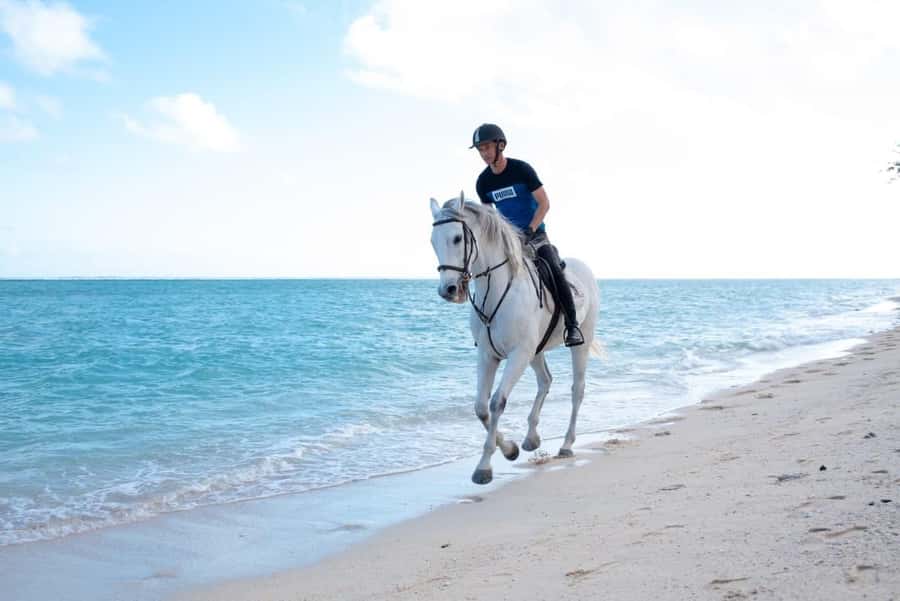 Mauritius: Horse riding on the deserted beach of Riambel - Arriving at Centre Equestre de Riambel