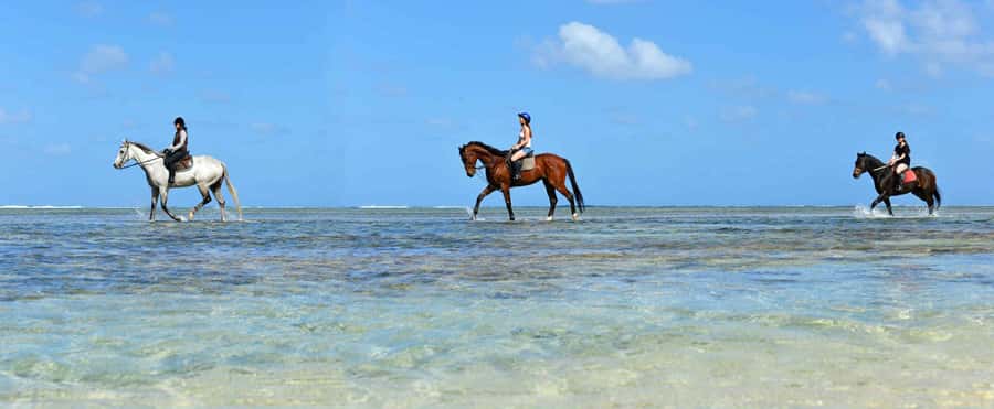 Mauritius: Horse riding on the deserted beach of Riambel - Who will enjoy this ride most?