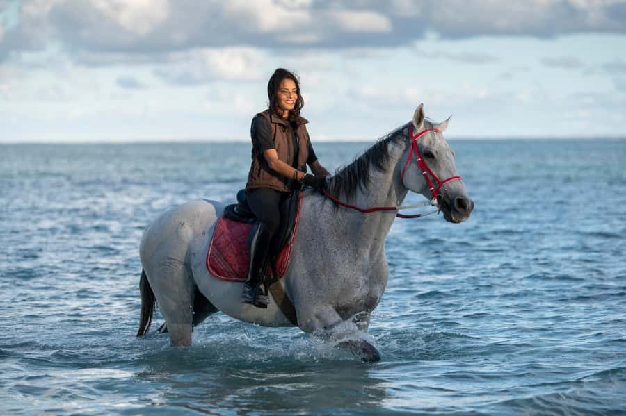 Mauritius: Horse riding on the deserted beach of Riambel - Choosing the right horse and riding pace