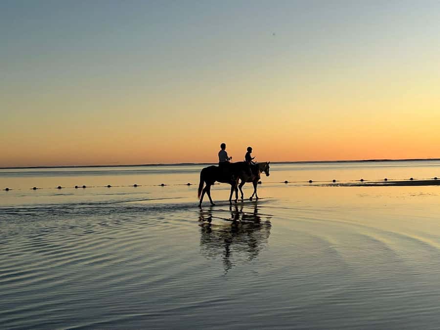 Mauritius: Horseback riding on the beach - Key points before you book