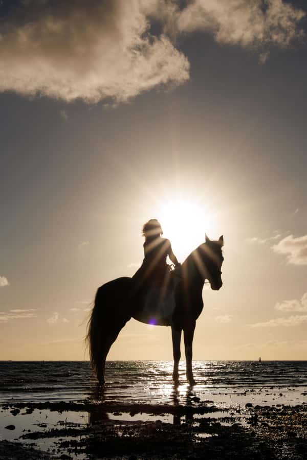 Mauritius: Horseback riding on the beach - What the guide adds to the experience