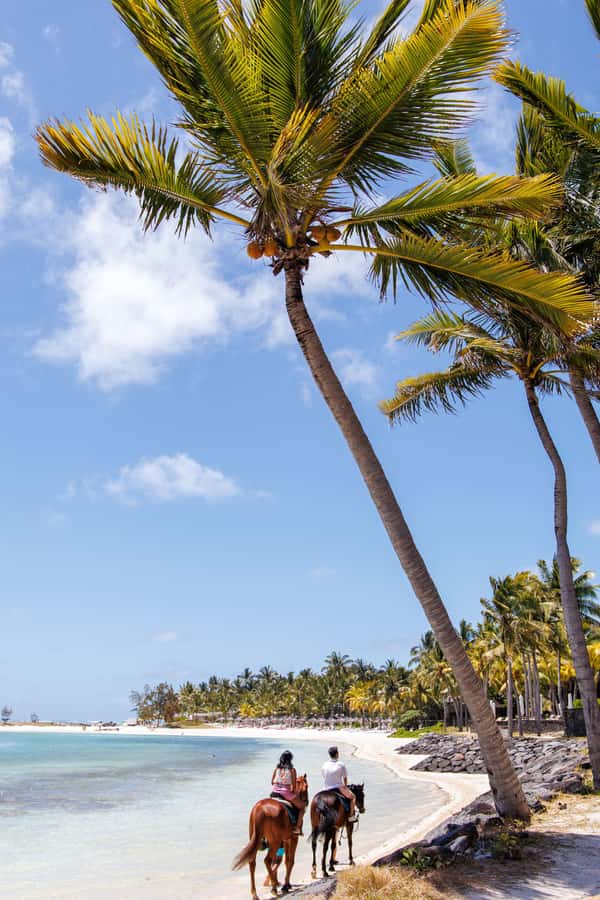 Mauritius: Horseback riding on the beach - The photo option and what is included
