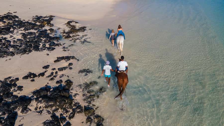 Mauritius: Horseback riding on the beach - Weight limits and other practical details