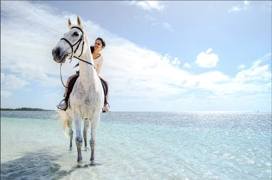 Mauritius: Horseback riding on the beach - Meeting the horses before the beach ride