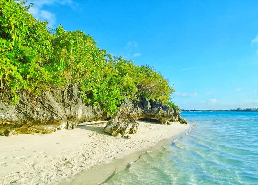 Mauritius: Ile aux Aigrettes Nature Reserve with Boat Ride - Blue Bay offers sand, water, and a practical pause
