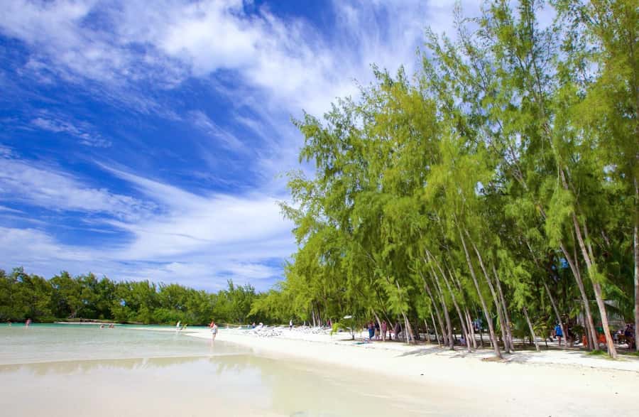 Mauritius: Ile aux Cerfs Boat Tour with BBQ Lunch and Drinks - Key points to know before you book