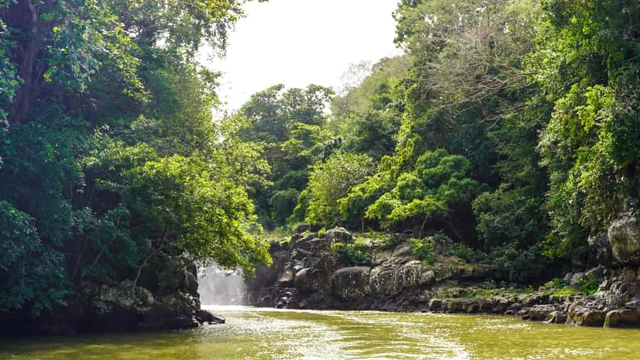Mauritius: Ile aux Cerfs Boat Tour with BBQ Lunch and Drinks - Two and a half hours on Ile aux Cerfs