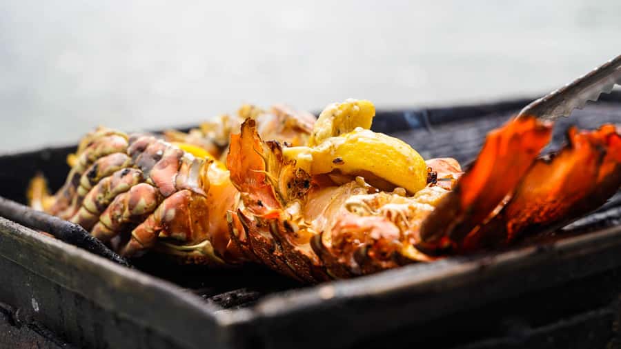 Mauritius: Ile aux Cerfs Boat Tour with BBQ Lunch and Drinks - Should you book it?