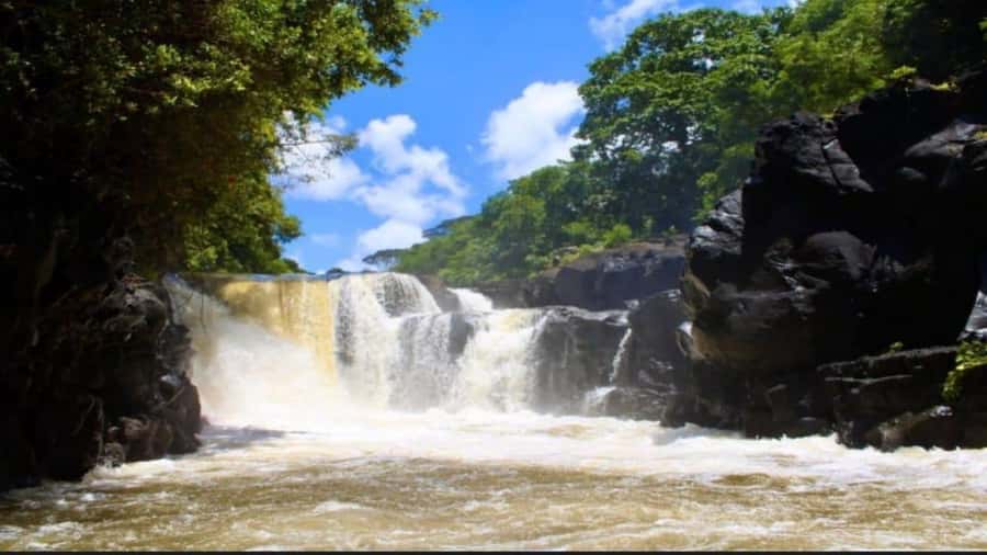 Mauritius: Ile Aux Cerfs catamaran cruise Lunch with BBQ - What makes this cruise worth your day