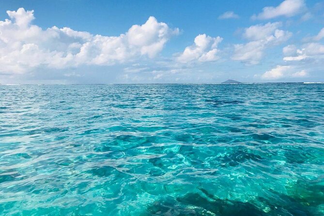 Mauritius: Ile Aux Cerfs Catamaran Tour with Lunch and Drinks - Key points before you book