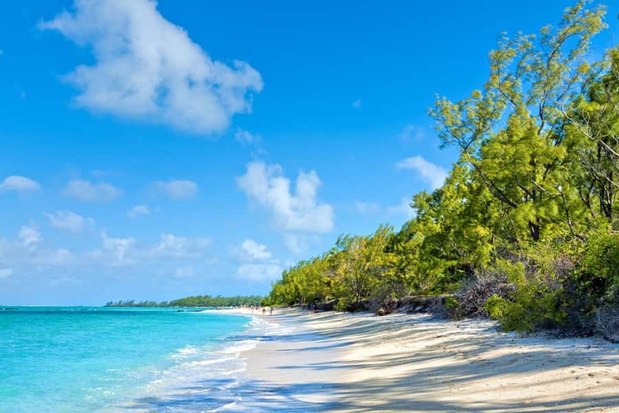 Mauritius: Ile Aux Cerfs Catamaran Trip w/ Lunch & Transfer - Key details at a glance