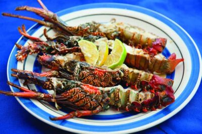 Ile Aux Cerfs Catamaran Trip w/ Lunch & Transfer