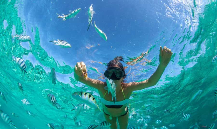 Mauritius: Ile Aux Cerfs Catamaran Trip w/ Lunch & Transfer - Ile aux Cerfs: beautiful, busy, and time-limited