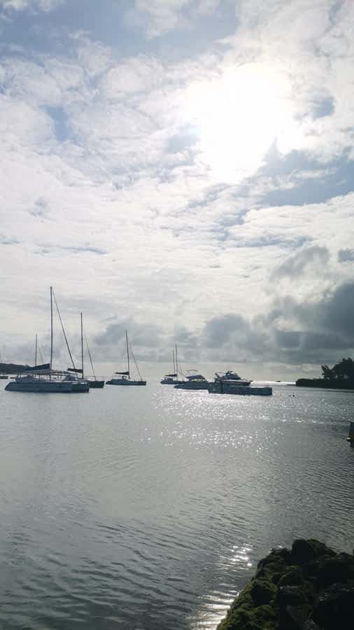 Mauritius: Ile aux cerfs, waterfalls and bbq Boat Day - GRSE waterfall and the monkey stop