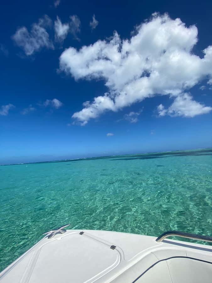 Mauritius Le Morne: Eco-Friendly Dolphin Watching Tour - Watching spinner dolphins in open water